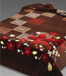 253 220x240 brown hnedá deka