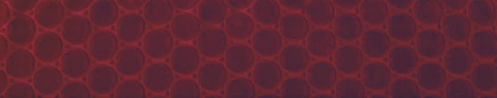 9628 geometrico 220x240 59 raspberry malinová deka